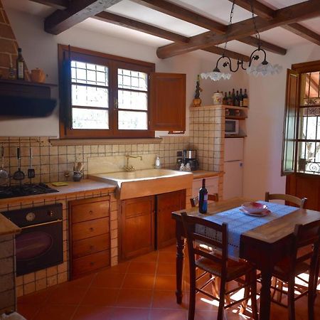 Case&Colline Villa Laura Montescudaio Luaran gambar
